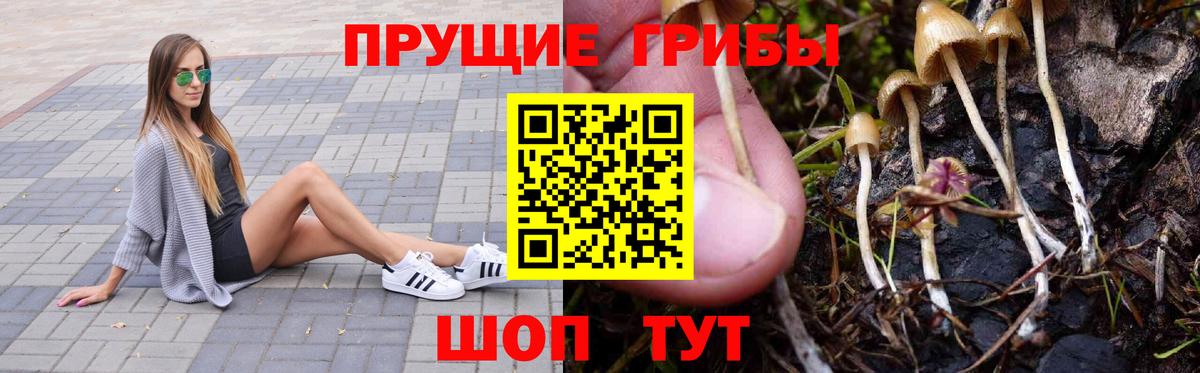 Галлюциногенные грибы прущие грибы  Галлюциногенные грибы мухоморы  купить закладку  Вход с VPN  Сочи 