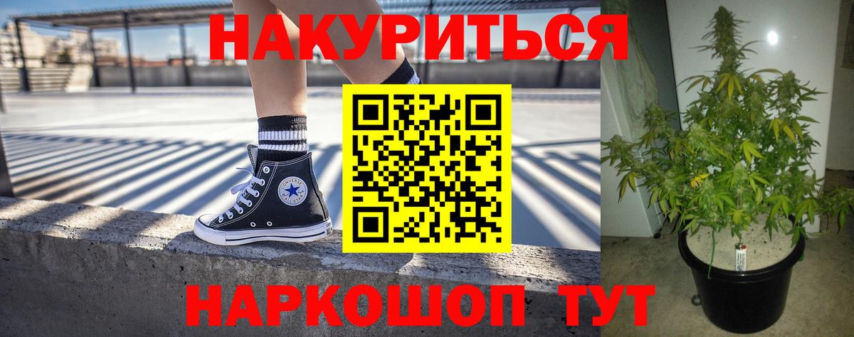 Бошки Шишки MAZAR Сочи
